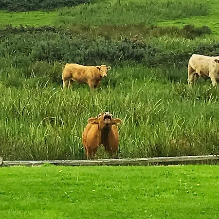 Cliff View Apartman *