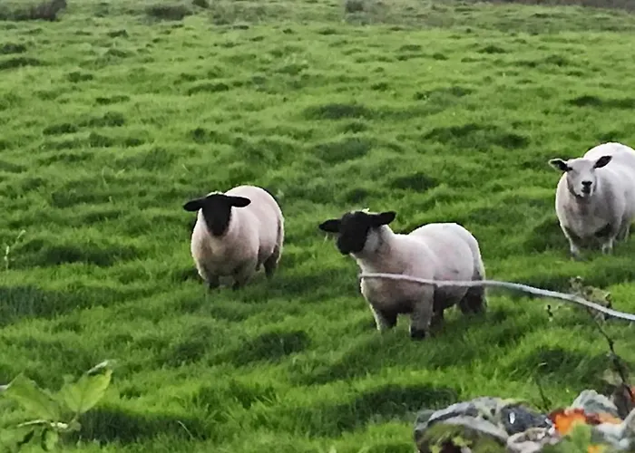 Cliff View דירה *